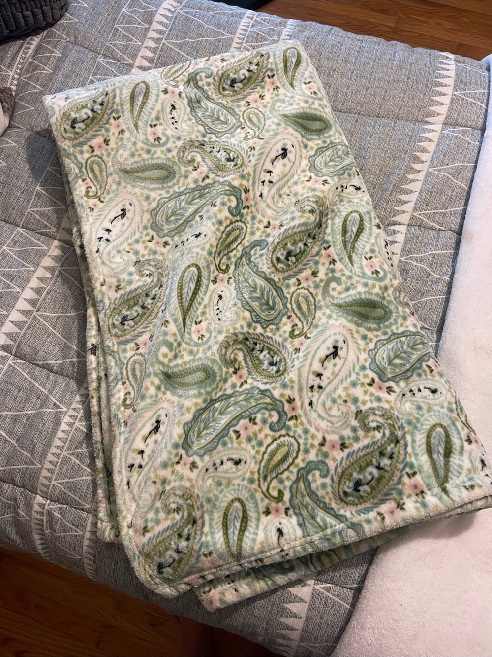 Soft Paisley Print Throw Blanket - Mint & Sage